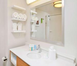 伯林格姆汉普顿旧金山伯林盖姆机场南酒店的一间带水槽和镜子的浴室