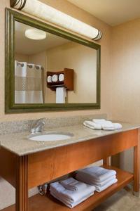 廷利公园汉普顿芝加哥-丁雷公园酒店的一间带水槽和大镜子的浴室