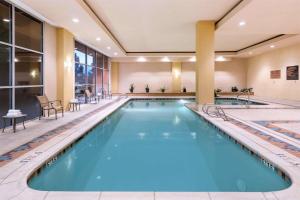 阿尔伯克基Embassy Suites by Hilton Albuquerque的蓝色水的酒店客房的游泳池