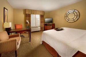 圣安东尼奥圣安东尼奥机场汉普顿酒店及套房的酒店客房配有一张床、一张书桌和一台电视。