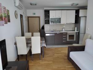 格拉达茨Musa apartment的厨房以及带桌椅的起居室。