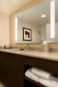 迪尔菲尔德Embassy Suites by Hilton Chicago North Shore Deerfield的一间带水槽和镜子的浴室