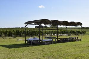 卡梅隆Casa de Aitona Bodega Zubizarreta的野餐区,野外带桌子和遮阳伞