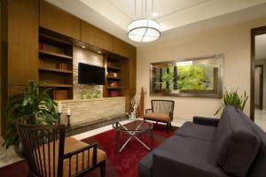 巴尔的摩巴尔的摩英纳哈勃尔希尔顿花园酒店的带沙发和电视的客厅