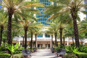 坦帕Embassy Suites by Hilton Tampa Downtown Convention Center的棕榈树的走道,在建筑前