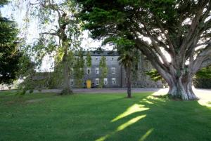 韦克斯福德吉利安城堡乡间别墅农场酒店的草上有一棵大树的大建筑