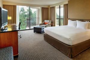 西塔科西雅图机场希尔顿逸林酒店的酒店客房设有一张大床和一台电视。