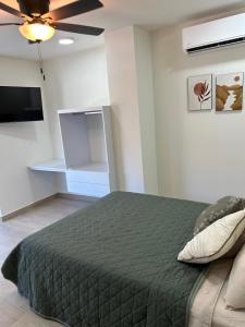 蒙特雷Casa Nórdica - Monterrey的一间卧室配有绿色的床和电视