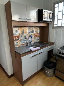 杜拉斯诺La Posada del Viajero的厨房配有水槽和微波炉