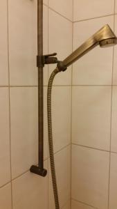 苏黎世客房民宿的浴室内带软管的淋浴头