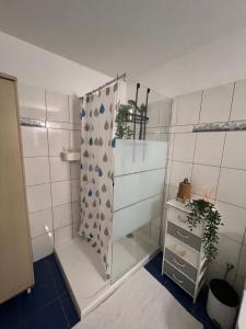 利马索尔Green Door Apartment的带淋浴的浴室和玻璃门