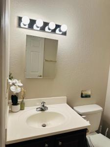 加特林堡Rustic ridge 01的一间带水槽、镜子和卫生间的浴室
