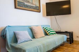 斯托莫斯卡Apartments by the sea Stomorska, Solta - 5190的蓝色沙发、枕头和平板电视