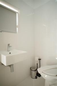 克拉伦代克The Lizard Boutique Hotel的白色的浴室设有水槽和卫生间。