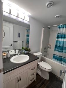 温尼伯Well furnished 1 Bedroom Basement Suite的一间带水槽、卫生间和镜子的浴室