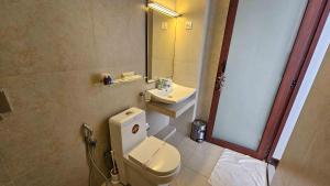 科伦坡Lotus Colombo Guesthouse的一间带卫生间、水槽和镜子的浴室