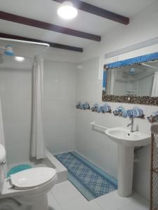 佩德纳莱斯Hosteria SR的一间带水槽、卫生间和镜子的浴室