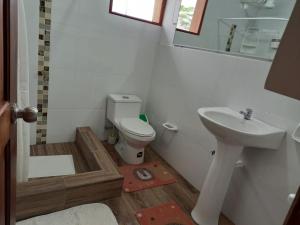 佩德纳莱斯Hosteria SR的一间带卫生间和水槽的浴室