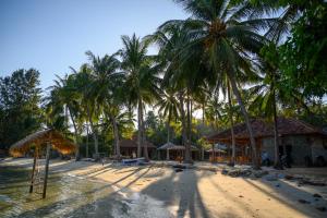 卡里蒙贾瓦Eco Casa的沙滩上的棕榈树