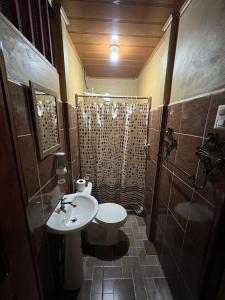 托尔图格罗Tortuguero Hill Rooms的一间带水槽、卫生间和淋浴的浴室
