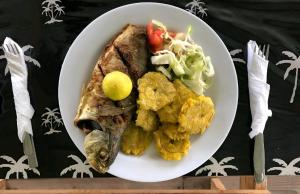 巴拿马城Diegun Tours的一小盘食物,包括鱼和土豆,还有沙拉