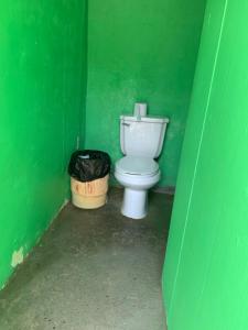 巴拿马城Diegun Tours的绿色浴室,设有绿色墙壁上的厕所