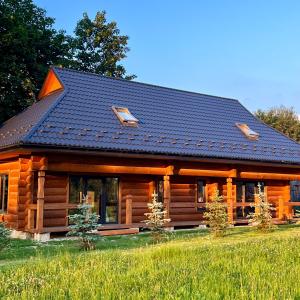 米库利钦Chalet PidStromom的小木屋,设有黑色屋顶