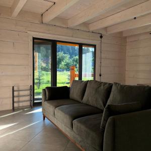 米库利钦Chalet PidStromom的带沙发和大窗户的客厅