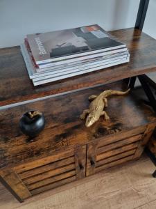 IpoteştiLa Cetate Luxury Apartment的桌子上摆放着一本书和蜥 ⁇ 的桌子