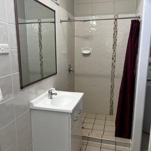 Jambin hotel motel的浴室配有盥洗盆和带镜子的淋浴