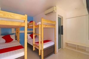 邦劳Villa Tomasa Beach Resort Panglao的一间卧室配有两张双层床。