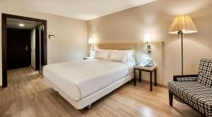 莱里达蕾达皮利耐奥斯NH酒店的配有一张床和一把椅子的酒店客房
