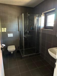 罗兹瓦多夫Guesthouse的带淋浴、卫生间和盥洗盆的浴室
