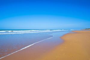 科斯塔巴伦娜厄尔巴鲸鱼海岸沙滩与海水浴疗酒店的海滩与大海和海岸线