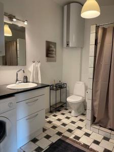 AskebyPia´s Guesthouse的浴室配有卫生间、盥洗盆和淋浴。