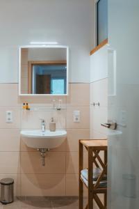梅塞尼希弗瑞恩维恩吉特赛尔瓦兹维恩酒店的一间带水槽和镜子的浴室