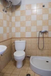 BurreliHotel Vila Bruci的一间带卫生间和浴缸的浴室