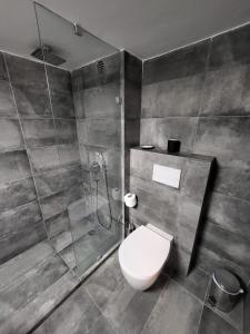 雅典Spacious Apartment In N. Smirni的带淋浴、卫生间和淋浴的浴室