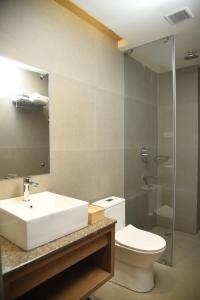 迪布鲁加尔CENTRAL INN的一间带水槽、卫生间和镜子的浴室