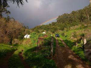 TábuaArambha Ecovillage Permaculture Farm的一辆汽车在后面带着彩虹驶向一条公路