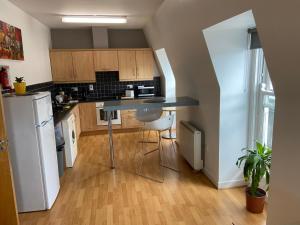 沃特福德City centre Rooftop apartment alongside river Suir的一间带柜台和冰箱的小厨房