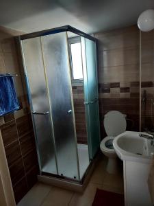 拉纳卡Sea Apartments的带淋浴、卫生间和盥洗盆的浴室