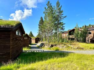 阿尔塔Bjørnfjell Mountain Lodge的田野上草屋顶的房子