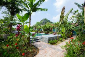 宁平ChezCao Rice Field Ecolodge Ninh Binh的一座花园,花园内设有游泳池和许多植物