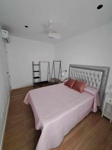 哈恩Piso Jaén Parque的一间卧室配有一张带粉色毯子的大床