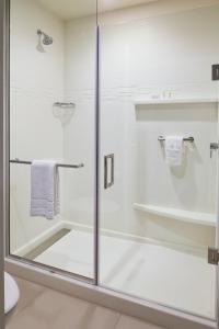 波林布鲁克芝加哥博林布鲁克玛丽瑞特瑞丽顿斯宾馆的带卫生间的浴室内的玻璃淋浴间