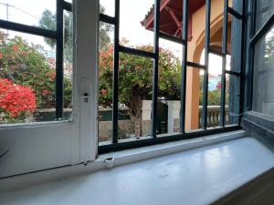 大加那利岛拉斯帕尔马斯CoLiving Villa Brasil的享有树景的开放式窗户