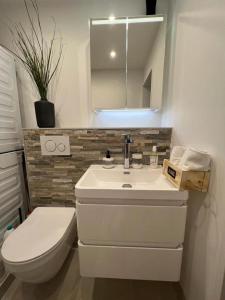 巴塞尔Stylish 1-bedroom condo close to exhibition square的一间带水槽、卫生间和镜子的浴室