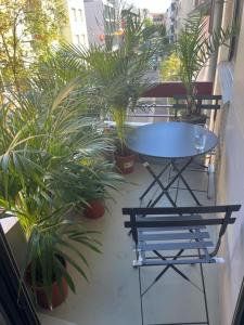 巴塞尔Stylish 1-bedroom condo close to exhibition square的植物阳台的桌椅