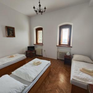 斯莫列尼茨Smolenický zámok的大房间设有两张床和两个窗户
